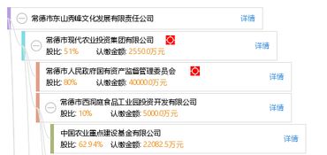 常德市东山秀峰文化发展有限责任公司 以文化为根基，打造常德软件开发新标杆