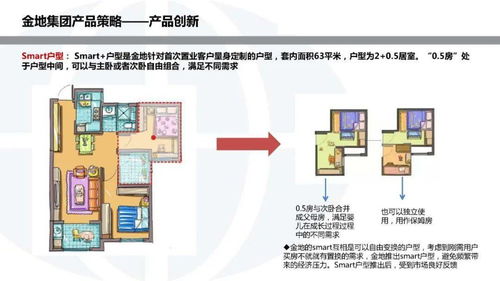 金地集团投资开发模式研究 以常德软件开发为例